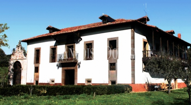 Parroquia de Santa María de Bayo, Concejo de Grado. Asturias. Casa Palacio en venta.