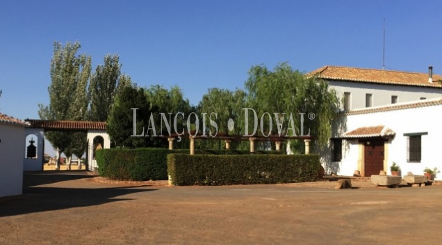 Finca de recreo olivar y cultivo en venta. Ciudad Real.