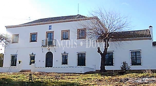 Huelva. Finca forestal y ganadera con cortijo en venta de 536 Has