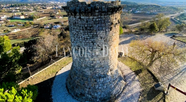 Jaén. Finca, viñedo y bodega en venta Alcalá la Real.