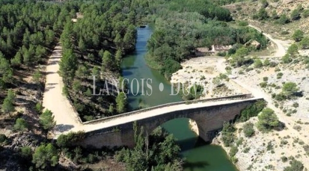 Cuenca. Iniesta. Finca en venta para proyecto turístico rural.