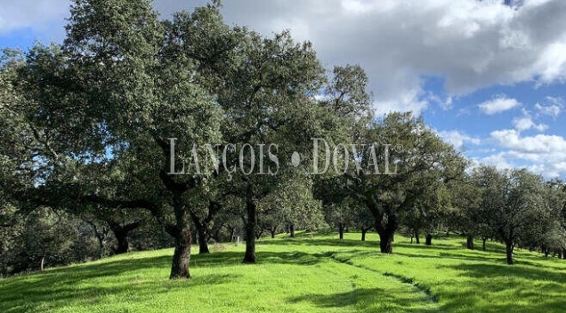 Extremadura. Gran Finca ganadera y coto de caza en venta.