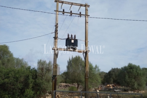 Mallorca. Finca rústica en venta ideal agroturismo. Sant Jordi.