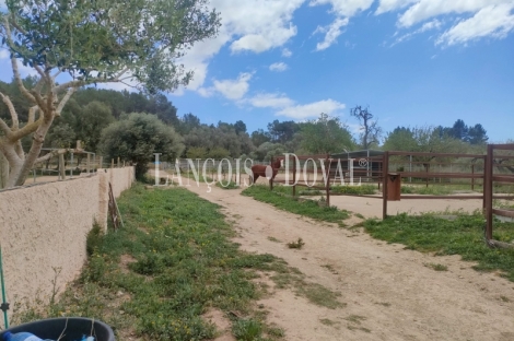 Mallorca. Finca ecuestre y hotel en venta. Montuïri.