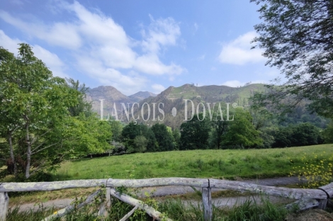 Cangas de Onis. Asturias. Casona Asturiana de piedra en venta.