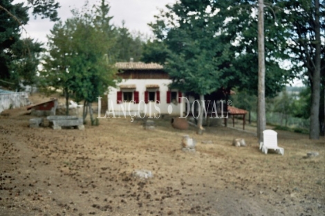 Ávila. Sierra de Gredos. Castilla León. Finca en venta.