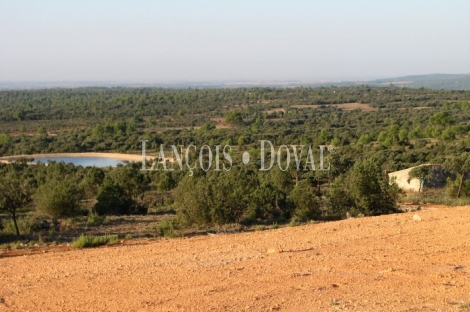 La Manchuela Alta. Cuenca. Finca coto de caza en venta.