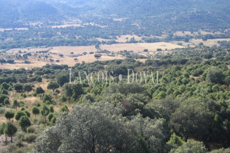 Robledo de Chavela. Madrid. Finca en venta ideal hípica particular.