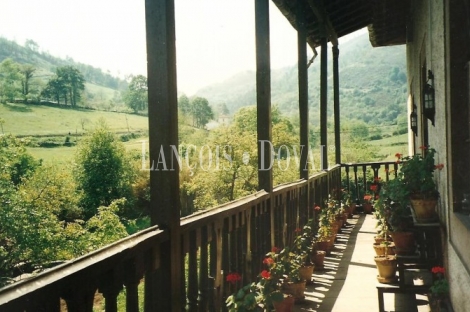 Parroquia de Santa María de Bayo, Concejo de Grado. Asturias. Casa Palacio en venta.