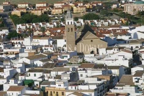 Resultado de imagen de salteras sevilla