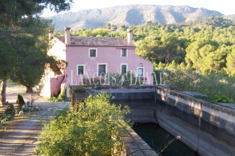 Finca con casa señorial y casa rural en venta. Valls. Tarragona