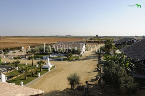 Parque Nacional de Doñana. Resort turismo ecuestre en venta. Sevilla.