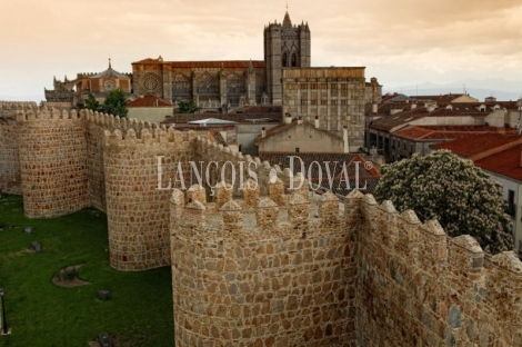 Ávila. Finca rústica en venta con vistas a la Muralla