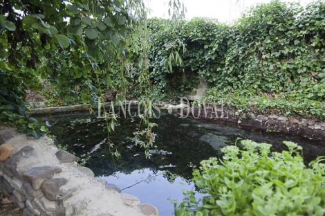 Venta finca y molino de salto de agua reconstruido. Campo de Borja. Zaragoza.