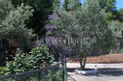 Madrid.  Finca Rústica olivar en venta. Villarejo de Salvanés.