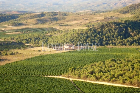 Casinos. Masía y finca en venta. Valencia. Ideal proyecto turístico rural.