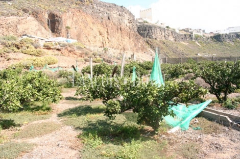 Las Palmas de Gran Canaria, Finca equipamientos en venta. Casco urbano, Ideal ocio o deportivot