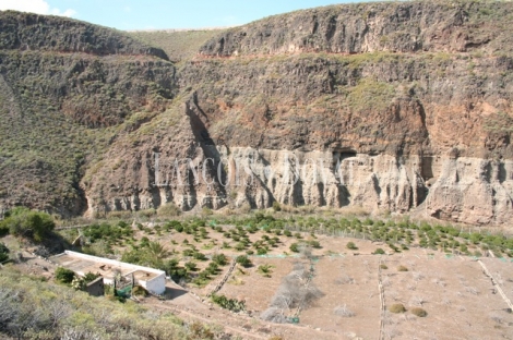 Las Palmas de Gran Canaria, Finca equipamientos en venta. Casco urbano, Ideal ocio o deportivot