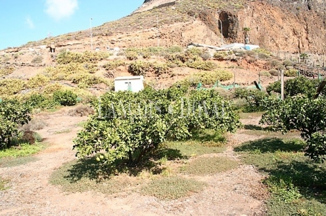 Las Palmas de Gran Canaria, Finca equipamientos en venta. Casco urbano, Ideal ocio o deportivot