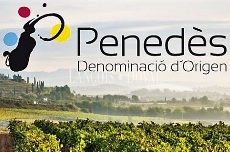 D. Origen Penedès. Finca vinícola en venta. Masía Ideal eventos u hotel.