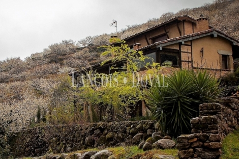 Cáceres. Casa rural en venta. Valle del Jerte. Navaconcejo.