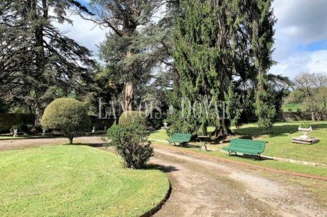 Asturias. Palacio de Doriga en venta. 