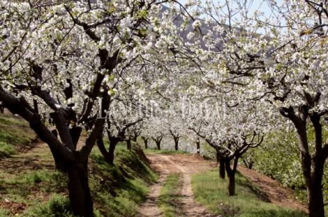 Badajoz Fincas rústicas y casas rurales en venta o alquiler.