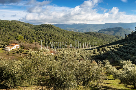 Jaén. Cortijo, coto de caza y finca forestal en venta. Sierra de Segura