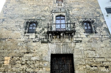 Córdoba. Un histórico palacio en venta.