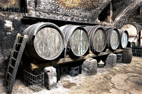 Penedès. Bodega para cava y viñedos en venta. Ideal enoturismo.