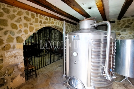 Jaén. Finca, viñedo y bodega en venta Alcalá la Real.