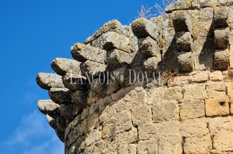 Jaén. Finca, viñedo y bodega en venta Alcalá la Real.