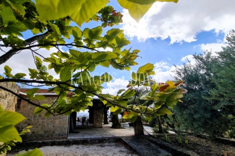 Jaén. Finca, viñedo y bodega en venta Alcalá la Real.