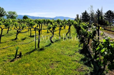 Jaén. Finca, viñedo y bodega en venta Alcalá la Real.