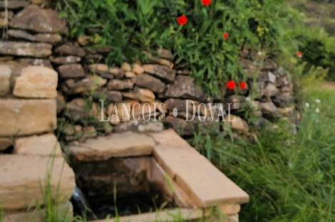 Huesca. Albergue rural en venta. Botaya.