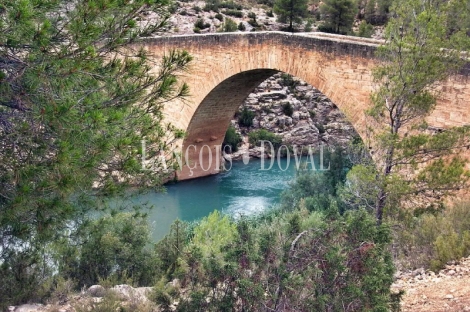 Cuenca. Iniesta. Finca en venta para proyecto turístico rural.