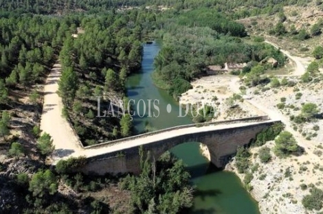 Cuenca. Iniesta. Finca en venta para proyecto turístico rural.