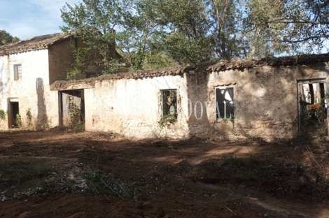 Cuenca. Iniesta. Finca en venta para proyecto turístico rural.