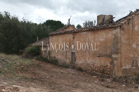 Cuenca. Iniesta. Finca en venta para proyecto turístico rural.