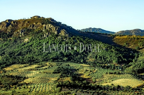 Proyecto turístico rural en venta. Cáceres. Guadalupe. Geoparque Villuercas Ibores-Jara