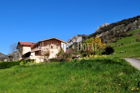 Hotel rural y empresa turismo activo en venta. Picos de Europa. Asturias