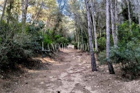 Tortosa. Campedró. Venta Finca olivar y cítricos con casa