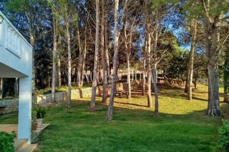 Tortosa. Campredó. Venta Finca con casa,  olivar, cítricos y bosque para caza menor