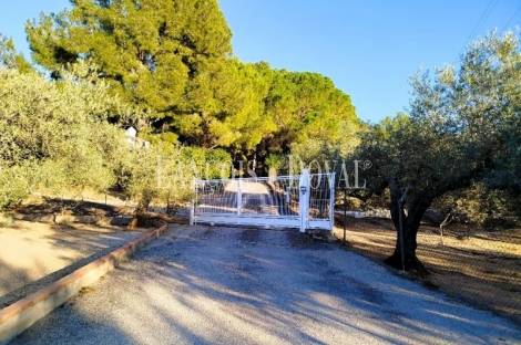 Tortosa. Campredó. Venta Finca con casa,  olivar, cítricos y bosque para caza menor