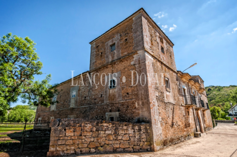 León. Comarca de Babia. Casa Palacio en venta. Villasecino.