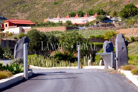 Tenerife. Finca vinícola en venta con bodega y restaurante. Ideal eventos.