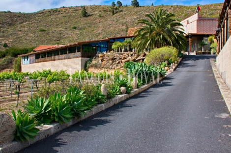 Tenerife. Finca vinícola en venta con bodega y restaurante. Ideal eventos.