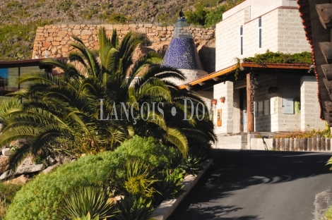 Tenerife. Finca vinícola en venta con bodega y restaurante. Ideal eventos.