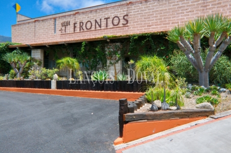 Tenerife. Finca vinícola en venta con bodega y restaurante. Ideal eventos.