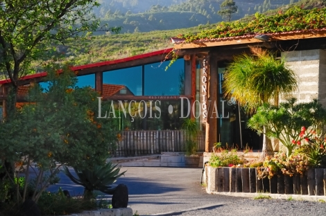 Tenerife. Finca vinícola en venta con bodega y restaurante. Ideal eventos.